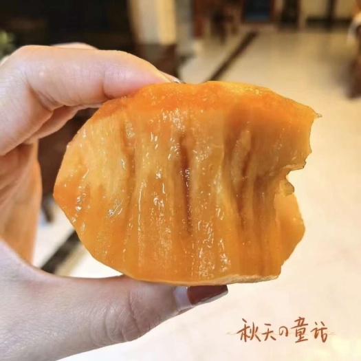 大荔县陕西阳丰  次郎脆柿子大量有货，物美价廉，诚实守信，欢迎订购