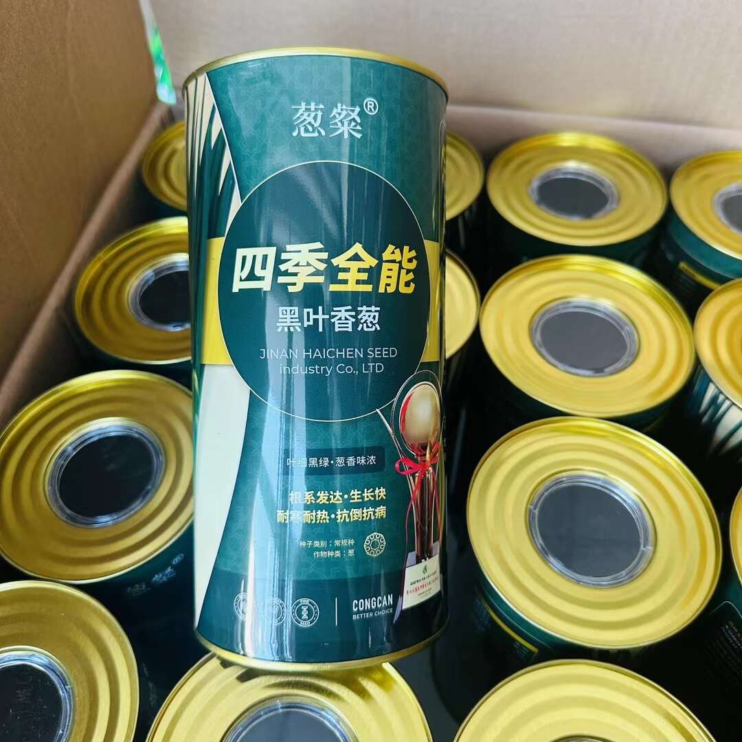 四季全能黑叶香葱种子小香葱种子小葱种子