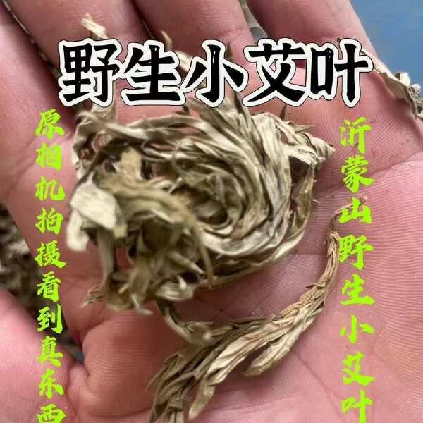 沂蒙山艾叶