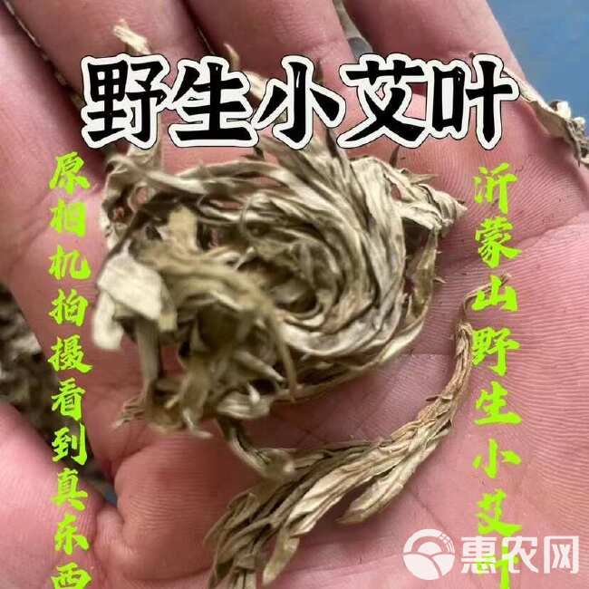 沂蒙山艾叶