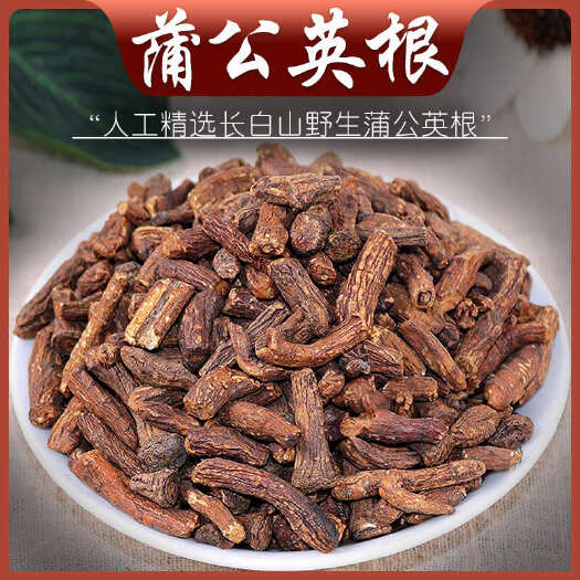 亳州蒲公英根批发长白山 蒲公英茶批发 婆婆丁大片茶