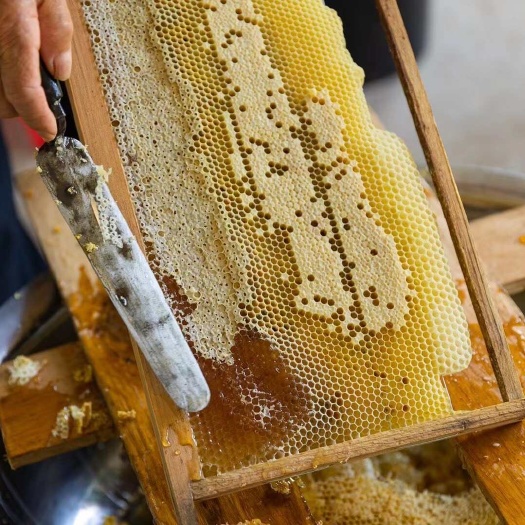 万年县自家百花蜜 50一斤包邮到家