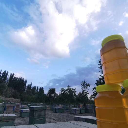 沙雅县新疆成熟百花蜜