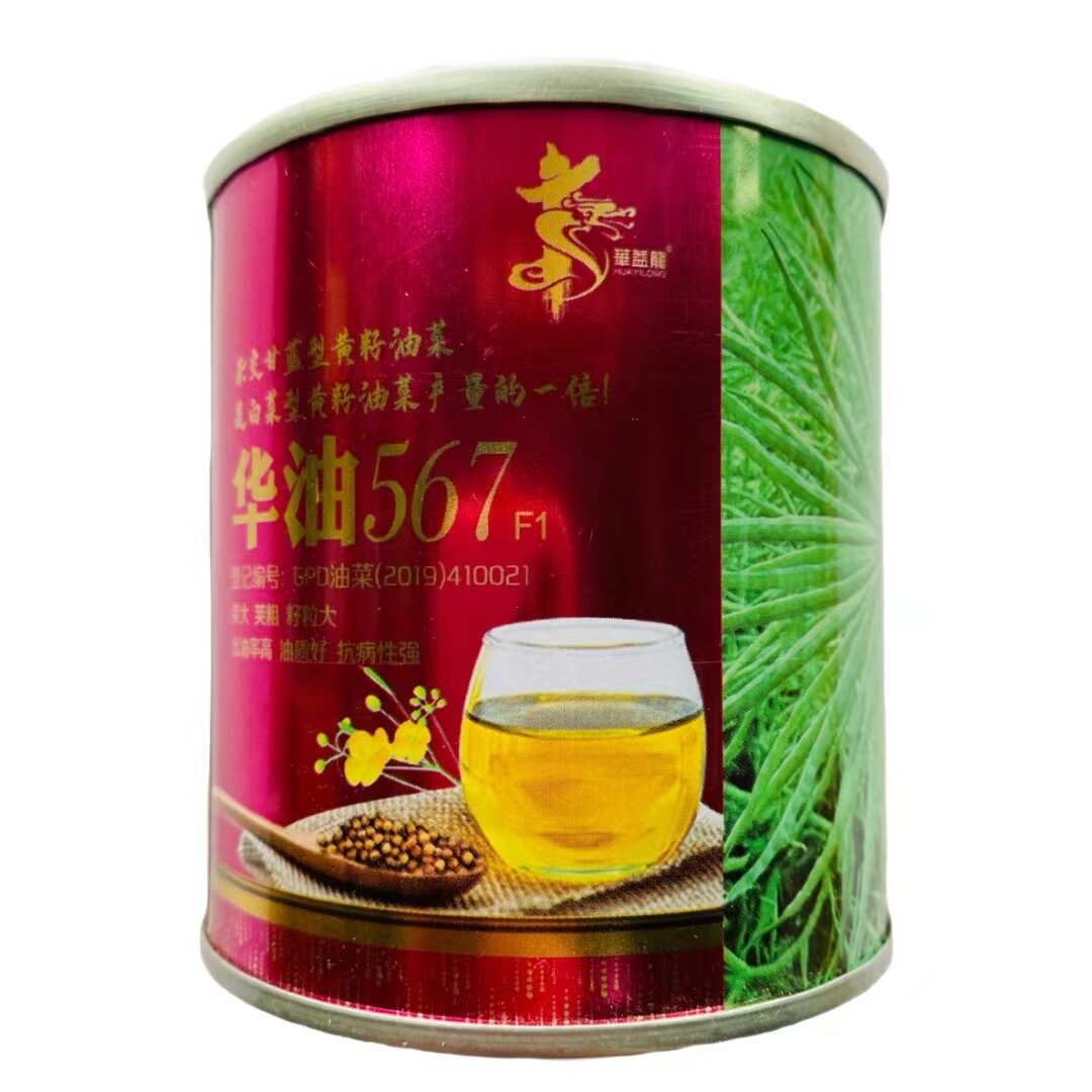 华油999油菜籽种子 华油777油菜种子 华油567油菜种子