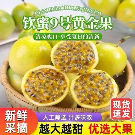 永州海南钦密9号黄金百香果 一级果产地批发价应季水果整发超甜