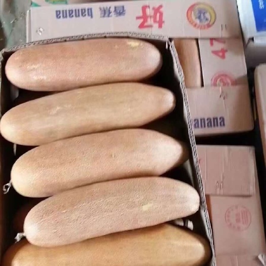 梨树县老黄瓜