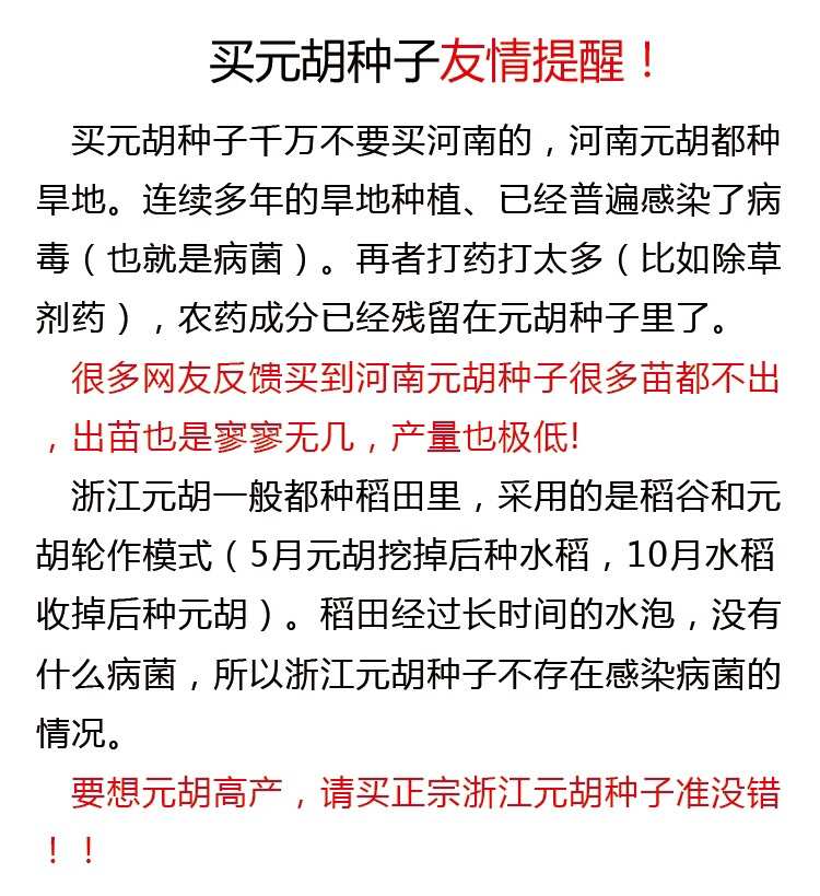 元胡种子供应