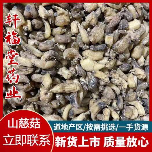亳州【山慈菇】产地东北实物拍摄一手货源大货供应规格齐全量大优惠