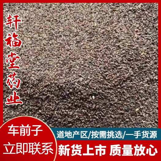 亳州【车前子】盐车前子产地江西实物拍摄大货供应规格齐全量大价优