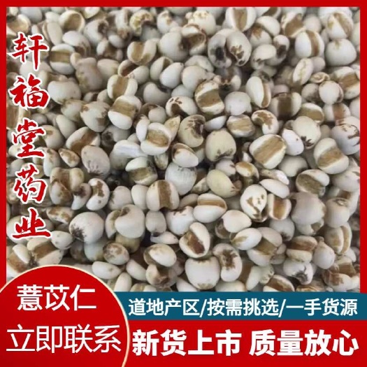 亳州【薏苡仁】产地贵州实物拍摄一手货源大货供应规格齐全量大优惠