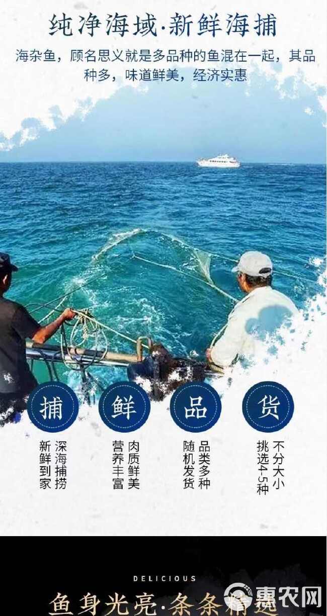 海杂鱼新鲜深海鱼大杂烩海鲜水产小黄鱼鲳鱼批发