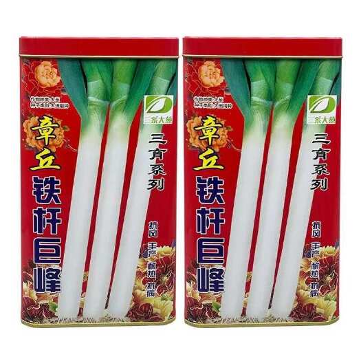菏泽章丘大葱种子铁杆巨峰