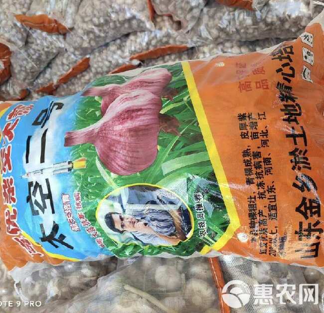 太空2号大蒜，品种纯正，抗病耐寒产量高