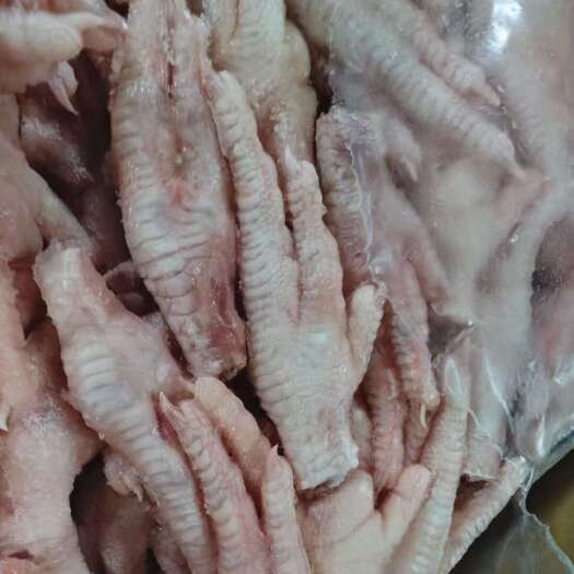 宁波长期供应巴西凤爪