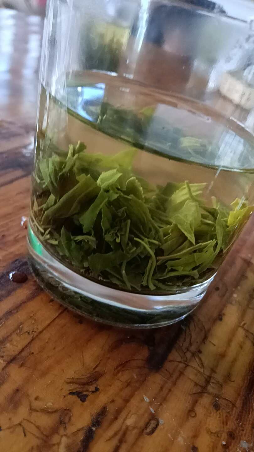 礼盒装绿茶 茶叶 经济实惠 包邮