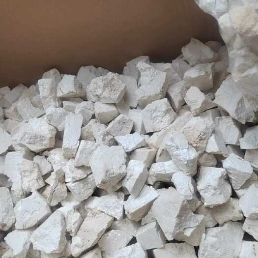 佛山云南茯苓白坨云苓生晒干货