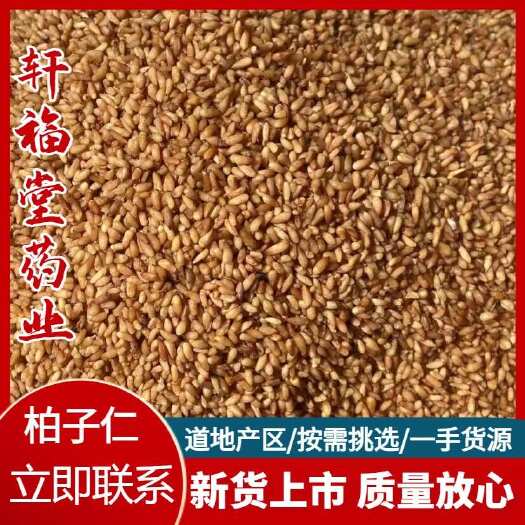 亳州【柏子仁】产地山东实物拍摄一手货源规格齐全大货供应量大容量