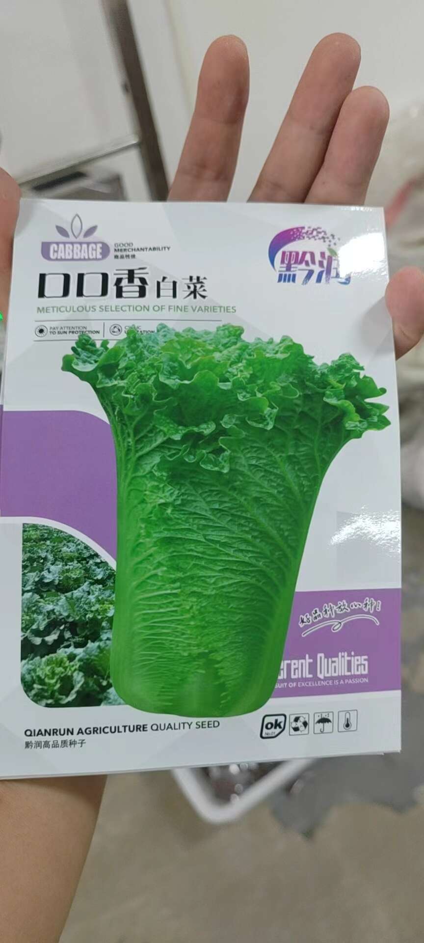 青口白苗