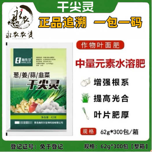 祁阳市葱姜蒜韭菜干尖灵增产小葱大蒜苗大葱干尖黄叶弯钩香葱叶面肥批发