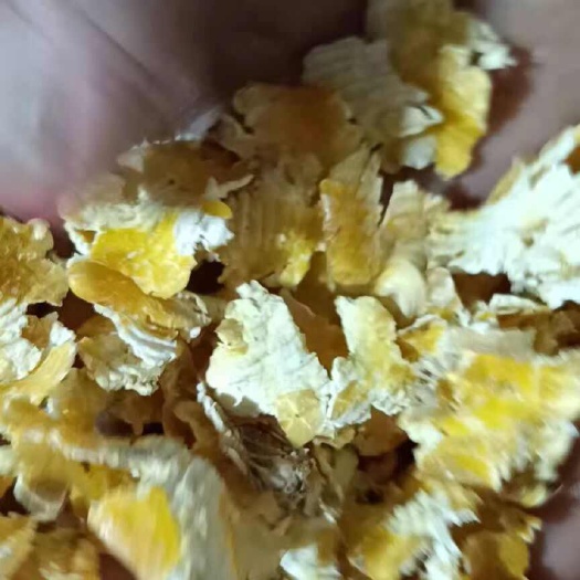 濉溪县大量玉米压片现货，全国可发
