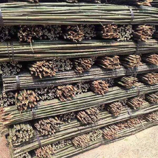 德化县竹竿 实心竹 瓜果蔬菜菜架竹 麻竹 各种规格可定制发全国