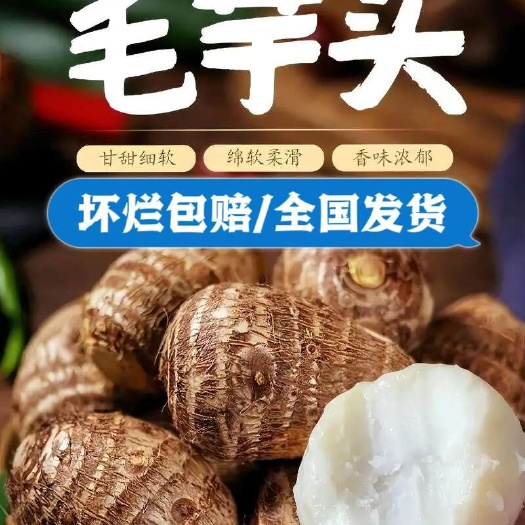 莒县【社区团购/电商货】8520毛芋头 《坏烂包赔/全国发货》