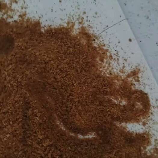 石家庄DDJS酒糟