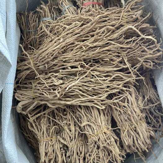 陇西县防风尾子