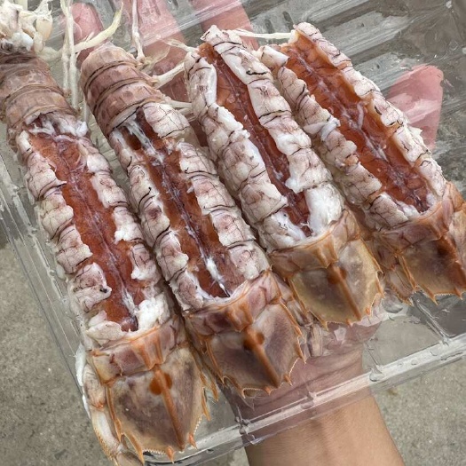 北海北海皮皮虾 虾爬子 濑尿虾 海虾 自家渔船批发熟冻冰鲜发货