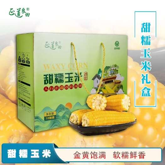 五寨县山西黄糯玉米
