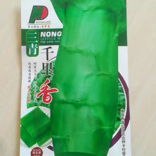 怀化千里香青皮青肉尖叶香莴笋种孑耐寒尖叶香莴笋种孑原包装16克袋