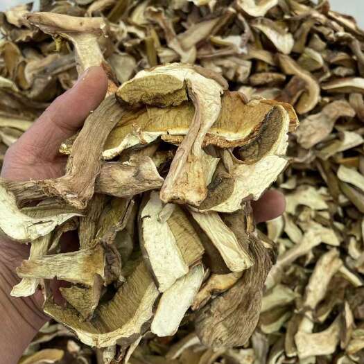 昆明2024云南野生菌干货大量上市！需要的老板私聊
