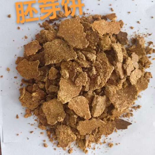 石家庄玉米胚芽饼