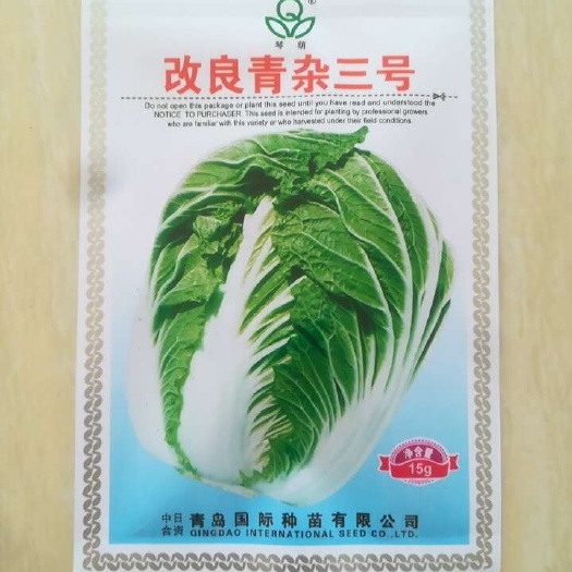 青岛国际种苗青杂三号大白菜种子青杂大白菜种子
