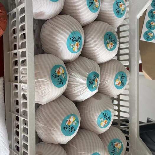 睢宁县日供十万斤，丰水，新高，秋月，酥梨，