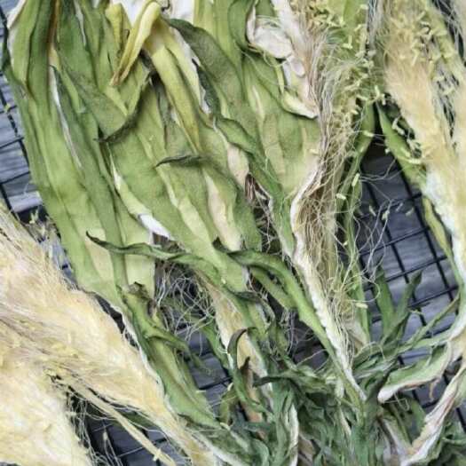 遂溪县霸王花