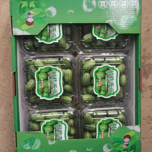 平南县拇指西瓜
