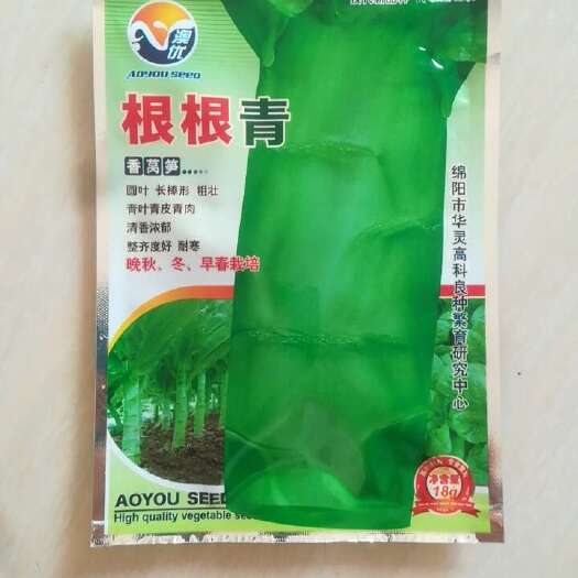 怀化根根青青皮青肉回叶香笋耐寒晚秋冬早春栽培长棒型清香浓郁