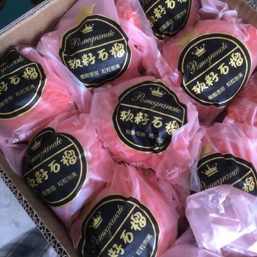 西安突尼斯软籽