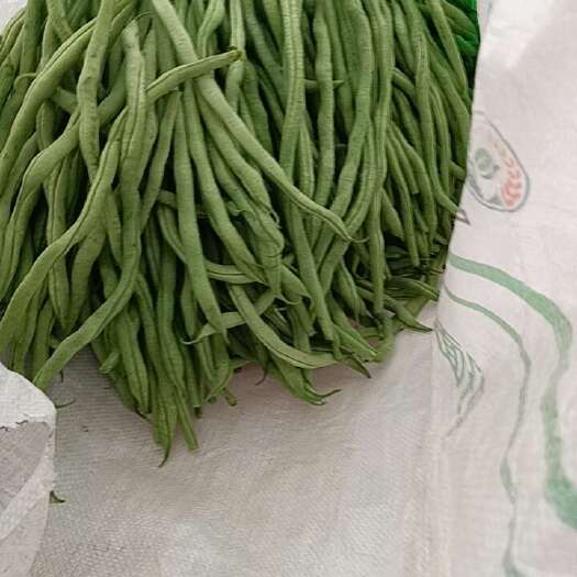 平顺县有机蔬菜