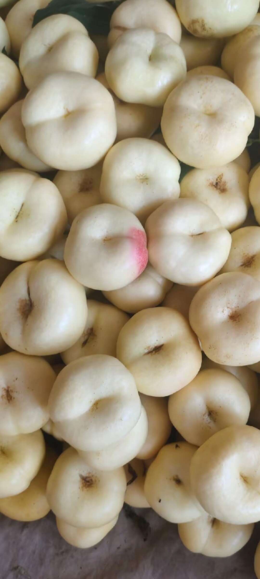 蒙阴县蒙阴蜜桃奶油蟠桃，黄油蟠桃，自带奶香味，产地直发