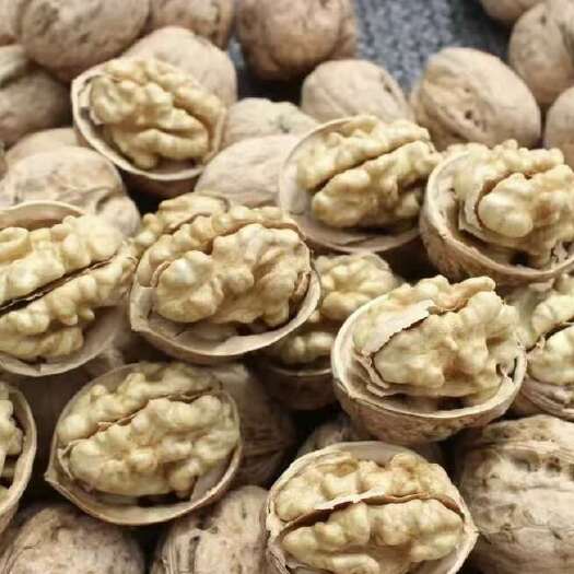 新和县185青皮核桃，阿克苏185