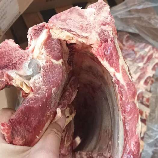 临沂391肋眼骨
