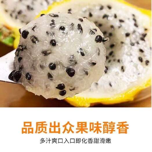 海口燕窝果一件代发，要的连我