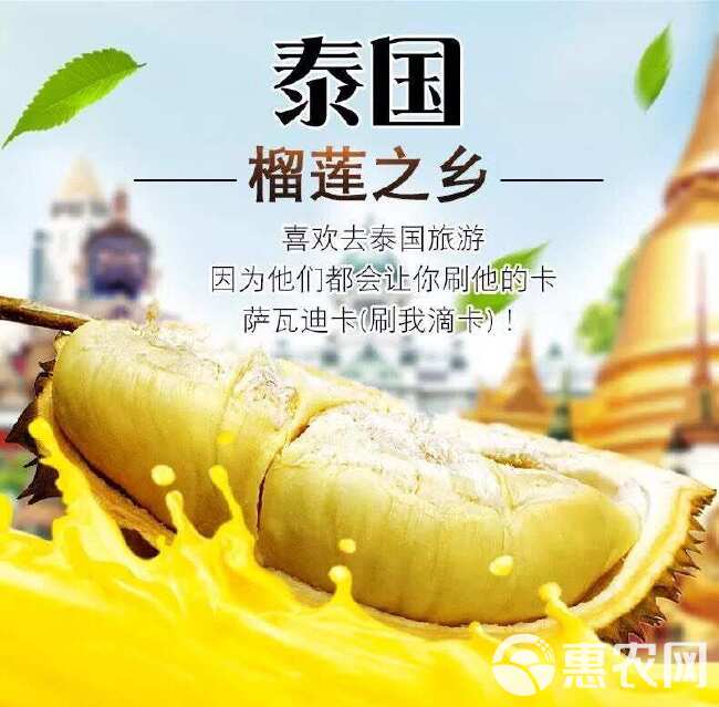 泰国金枕榴莲，对接各大电商平台，全国一件代发，当天发货