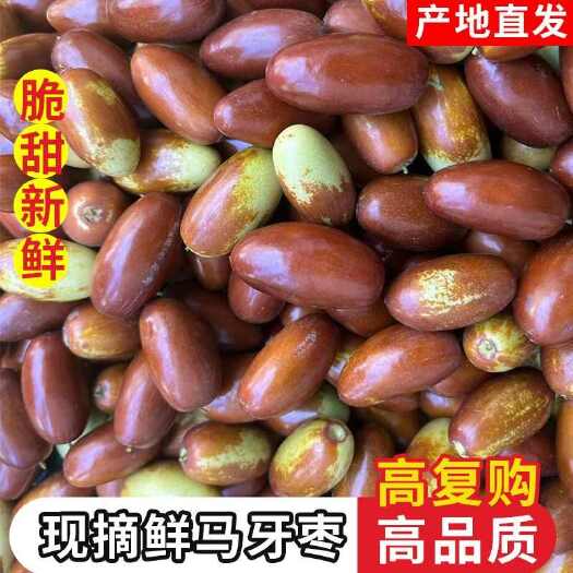 灵武市【甜脆】枣子鲜枣马牙枣子弹头枣新鲜脆甜水果当季非冬枣灵武枣