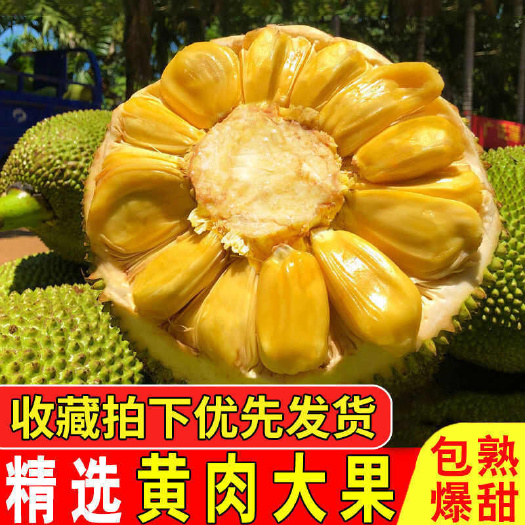 海口海南菠萝蜜，一件代发，批发