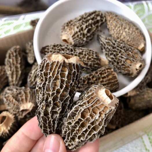 西峡县平剪脚羊肚菌头茬新货上市产地批发