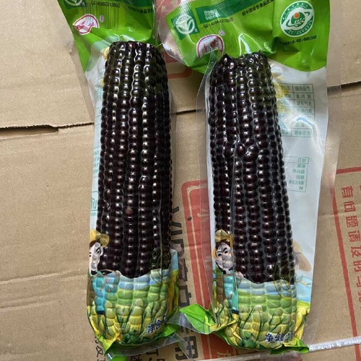 黑糯玉米真空包装电商批量一件代发