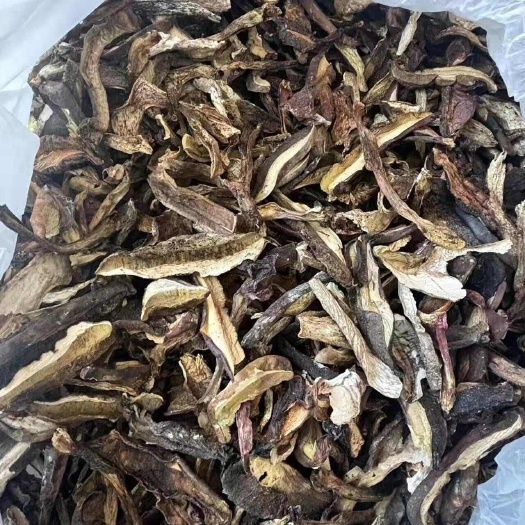 见手青干货